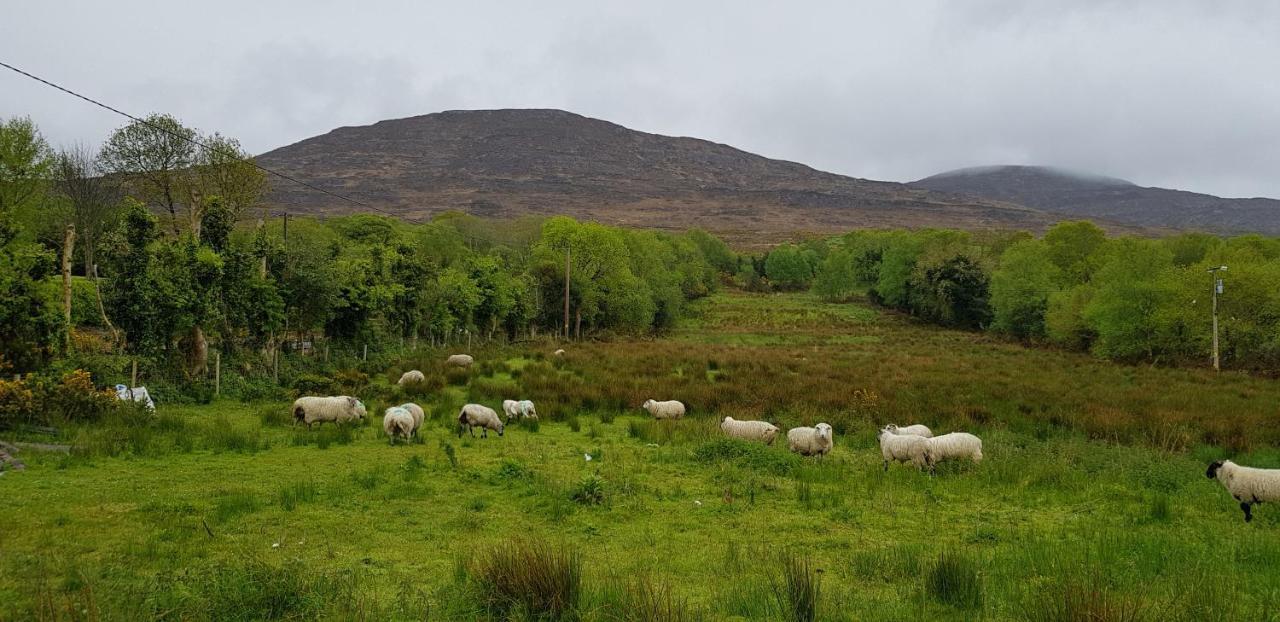 Mountain View Bed & Breakfast, Kenmare, Co. Kerry, Ireland Экстерьер фото